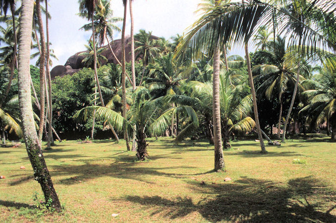 Seychellen 1999-075.jpg